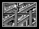 condominio