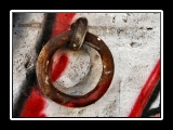 legami