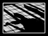 pierluigi-serie2-29bn