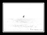 portamioltre-8