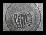 quadratura