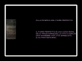 StorieLeggendeFavole-AllaRicercaDelFiorePerfetto