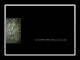 StorieLeggendeFavole-LeDameVerdiDellaCollina