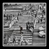 viaggio19