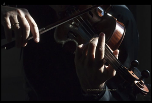 novecento